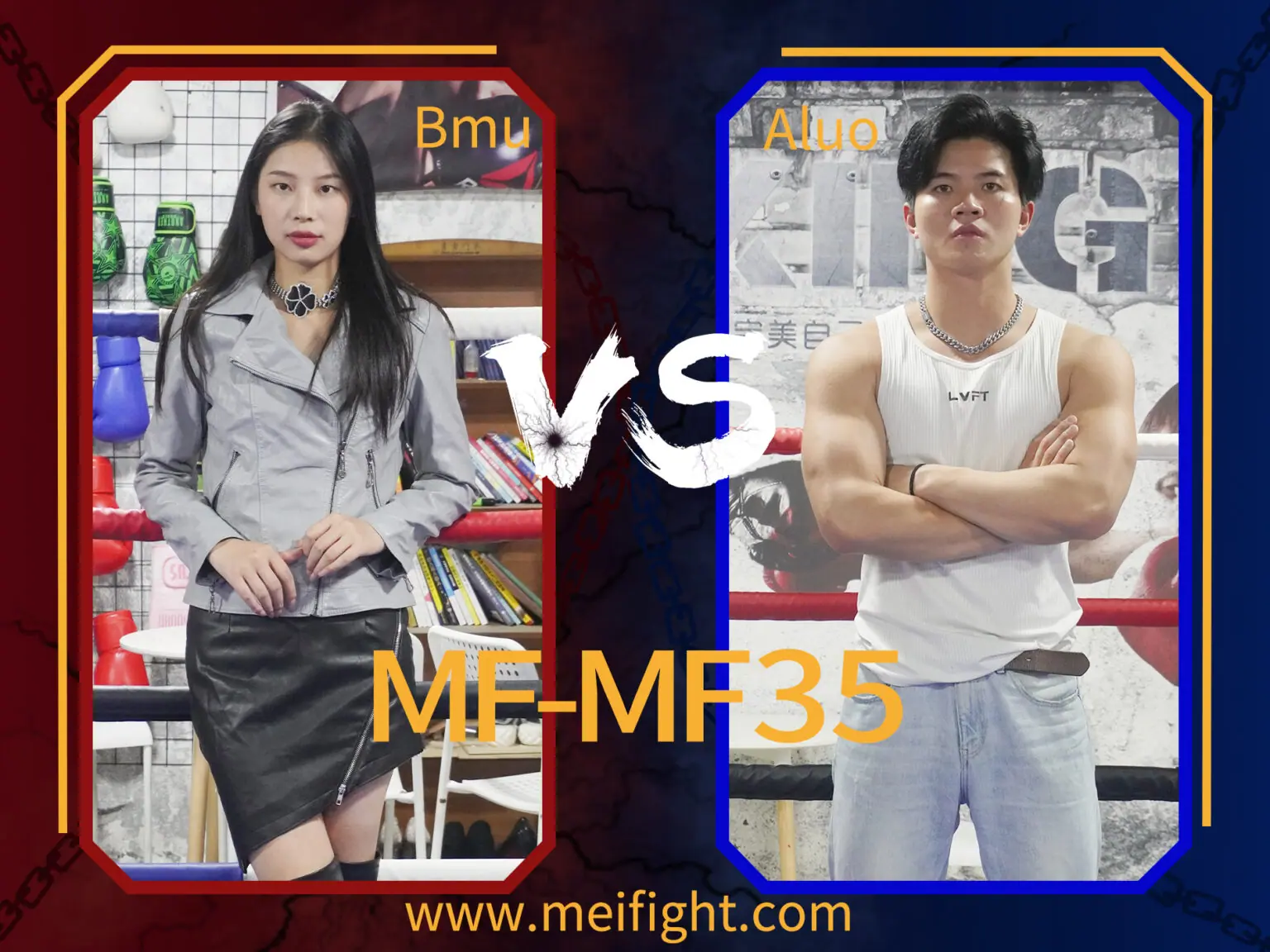 MF-MF35-Bmu VS Aluo-格斗艺术