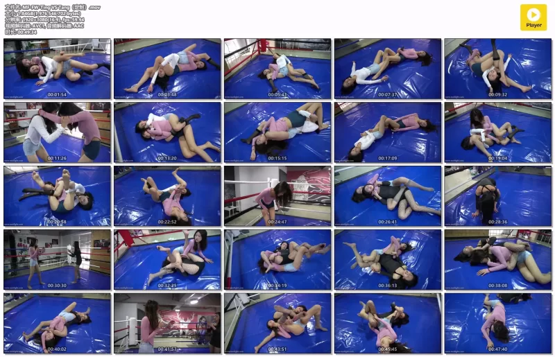 定拍 tang vs ting-格斗艺术