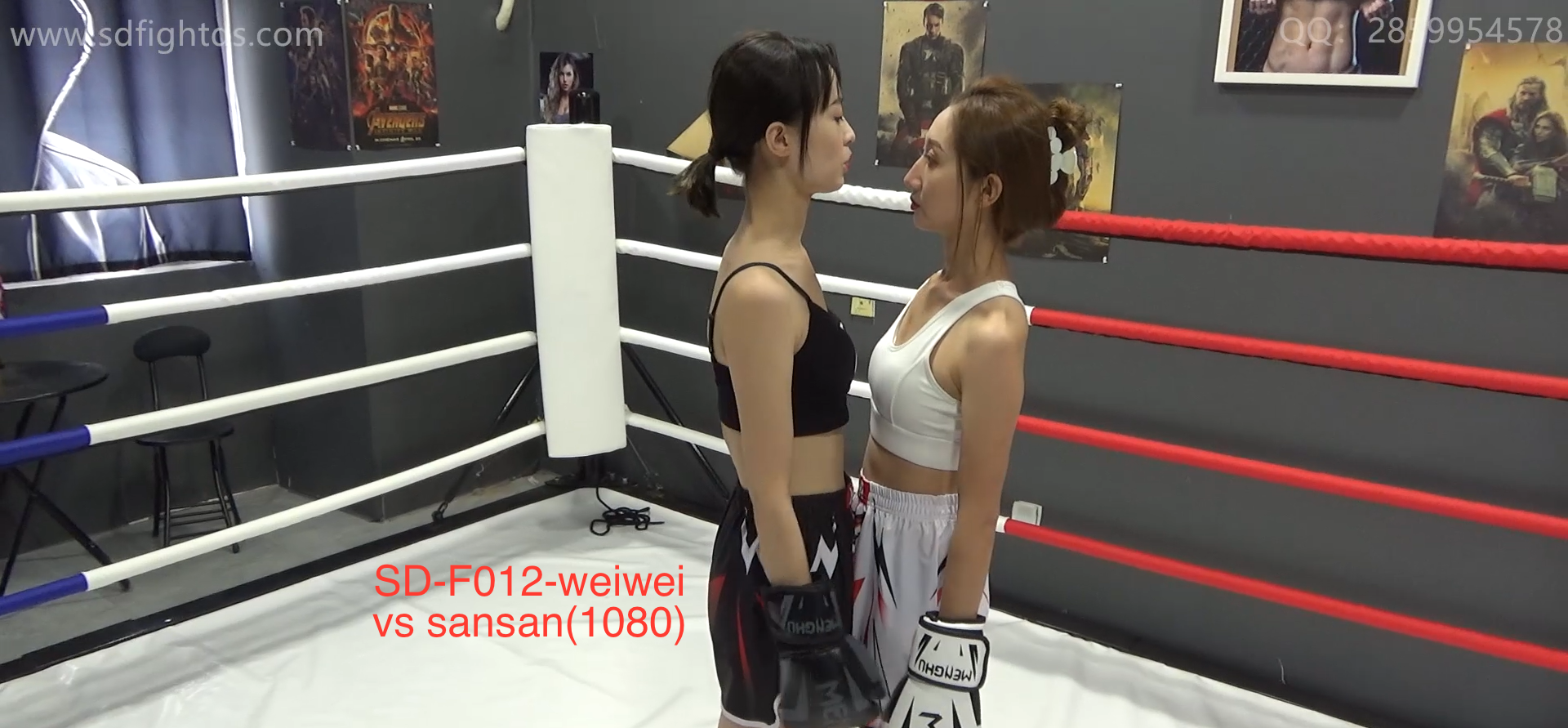 SD-F012-格斗艺术