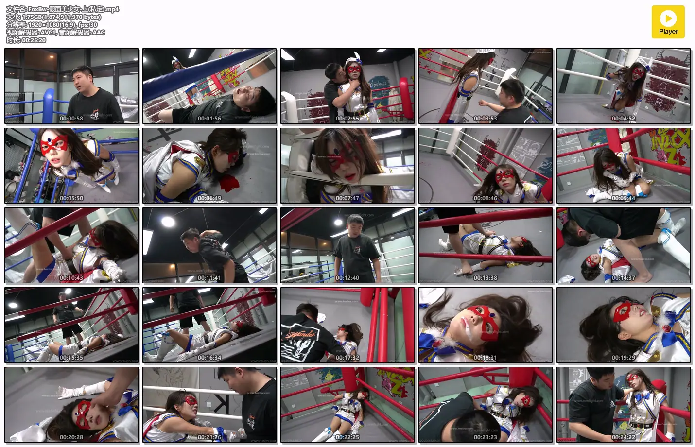 烈狐私人定制-美少女战士冯迪妮1-格斗艺术