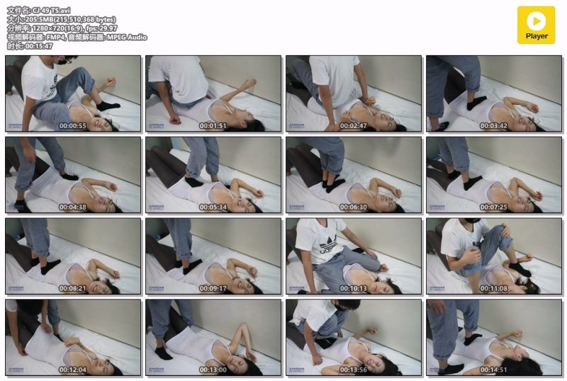 CJ 49 TS-格斗艺术