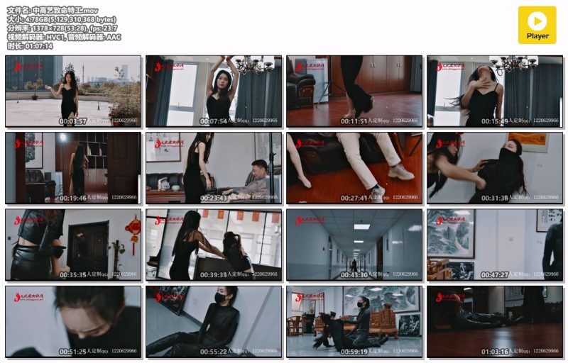 中高艺致命特工-格斗艺术