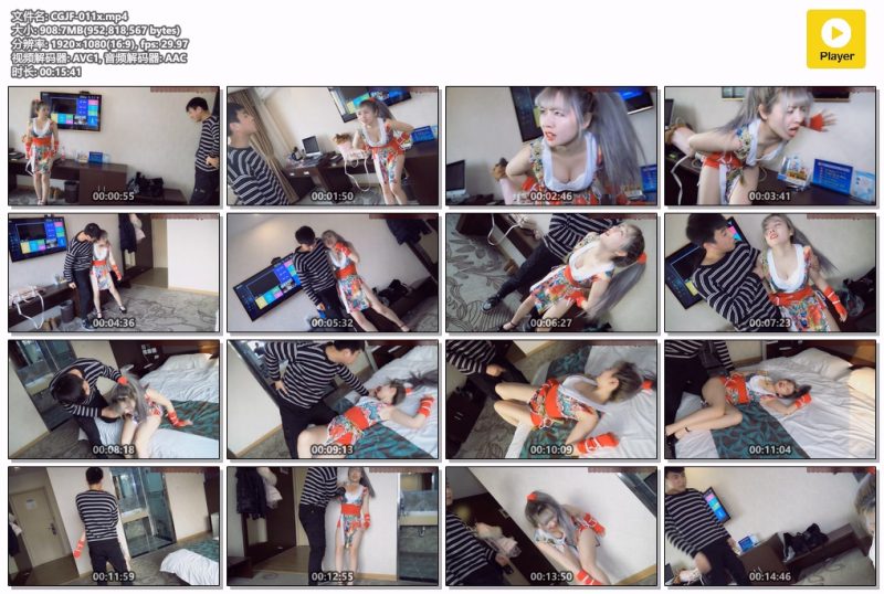 CGJF-011x-格斗艺术