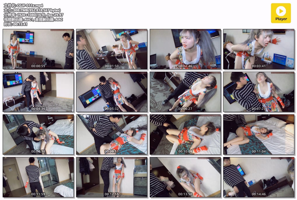 CGJF-011x-格斗艺术