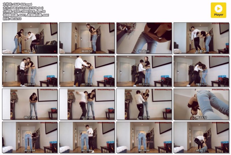 CGJF-026-格斗艺术