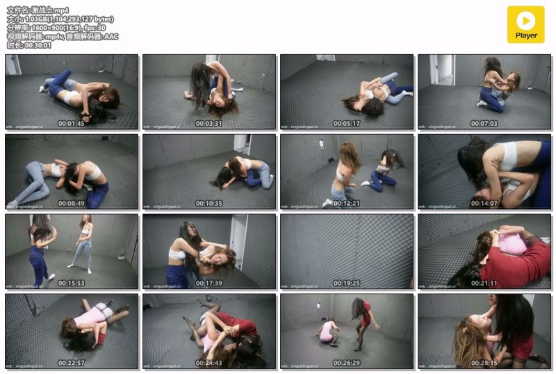 激战上-格斗艺术