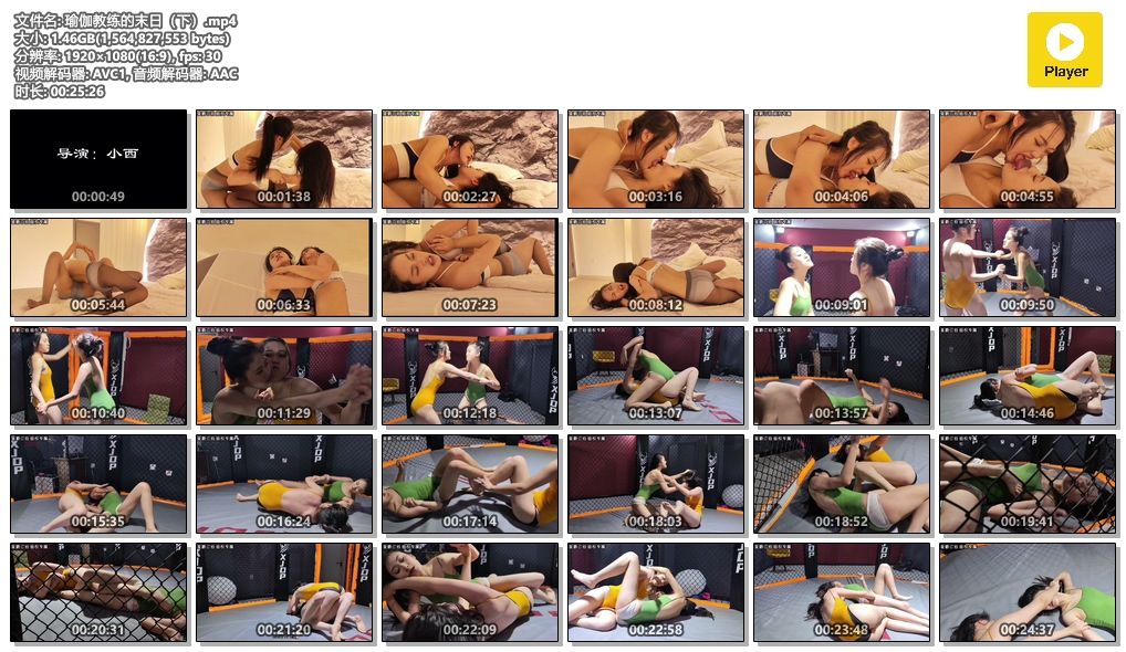 瑜伽教练的末日（下）-格斗艺术