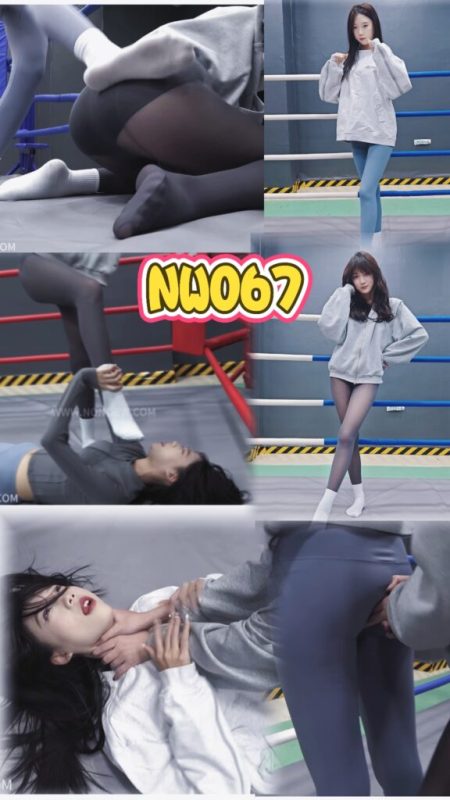 NW067-格斗艺术