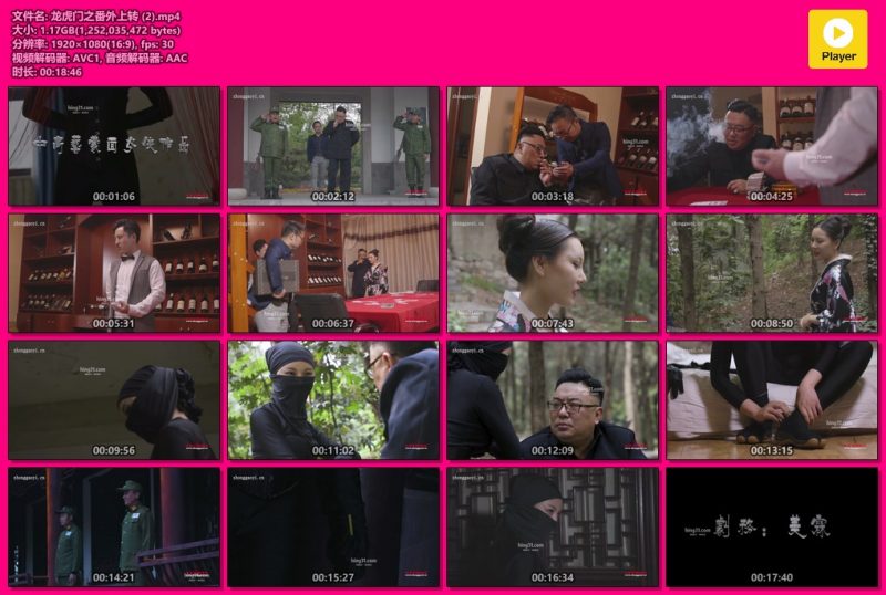 龙虎门之番外上转-格斗艺术