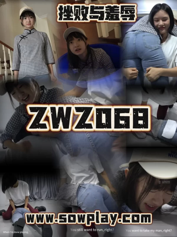 Z068 weinie VS shishi-格斗艺术