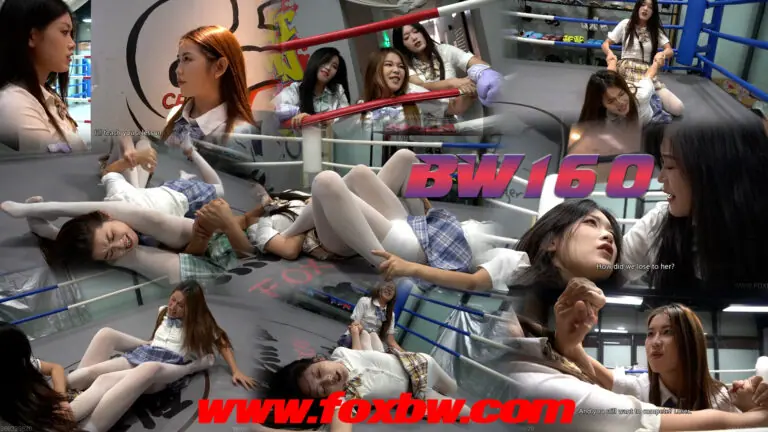 BW-160 xy vs xm vs xx-格斗艺术