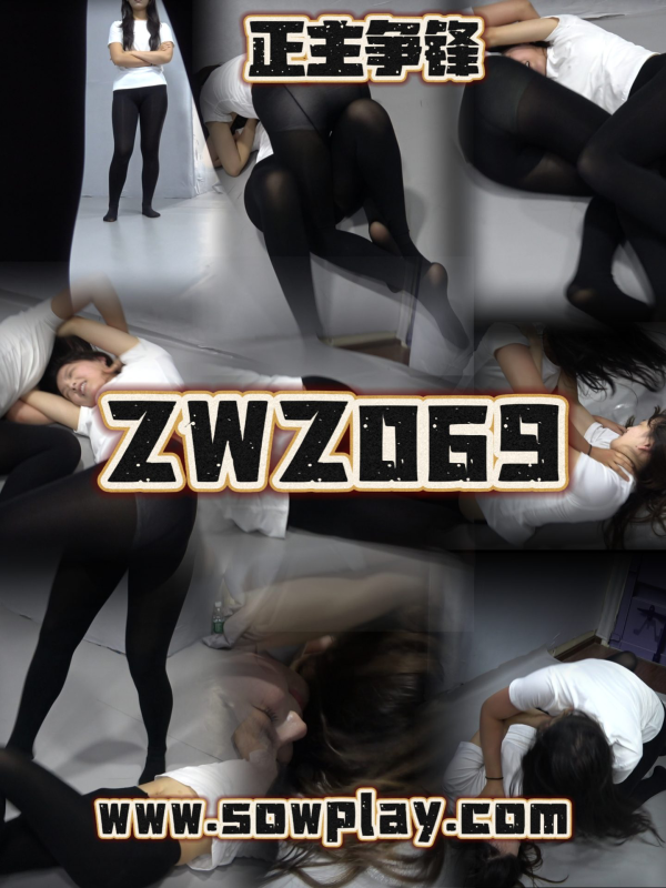 Z069 vv VS xiaojing-格斗艺术