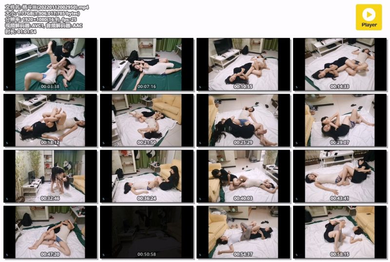 格斗二-格斗艺术