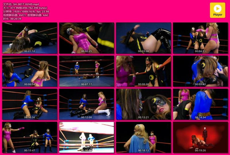 SH-0017-02HD-格斗艺术