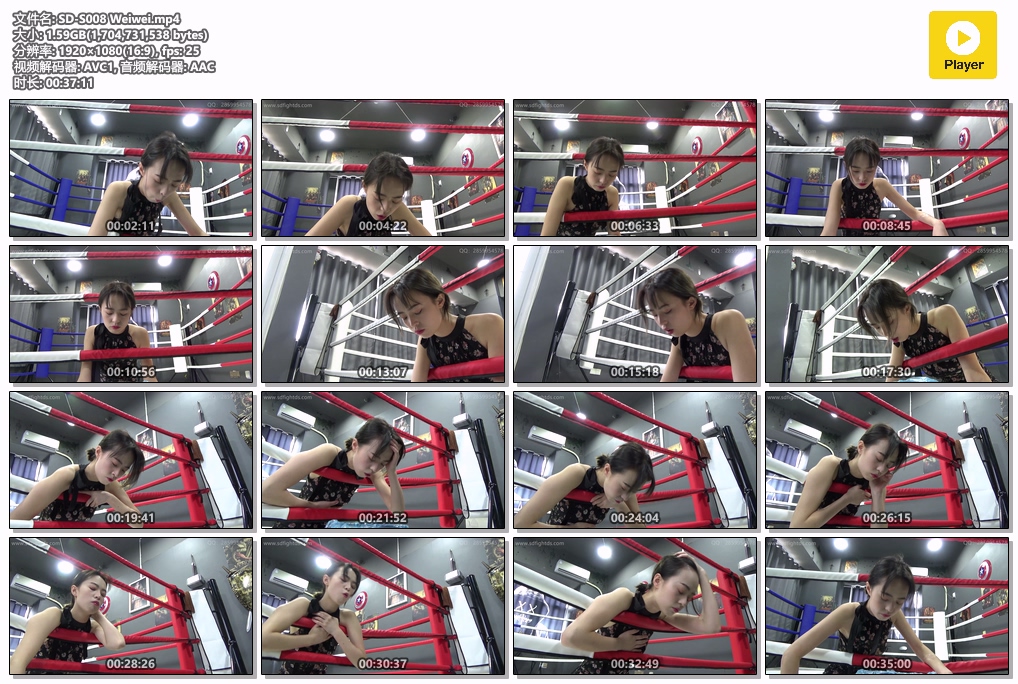 SD-S008-格斗艺术