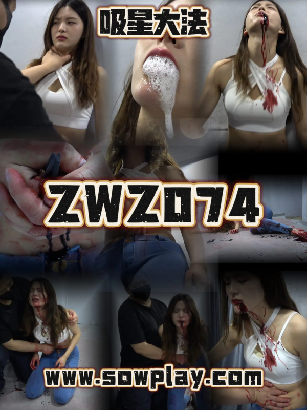 Z074 vv VS wjn-格斗艺术