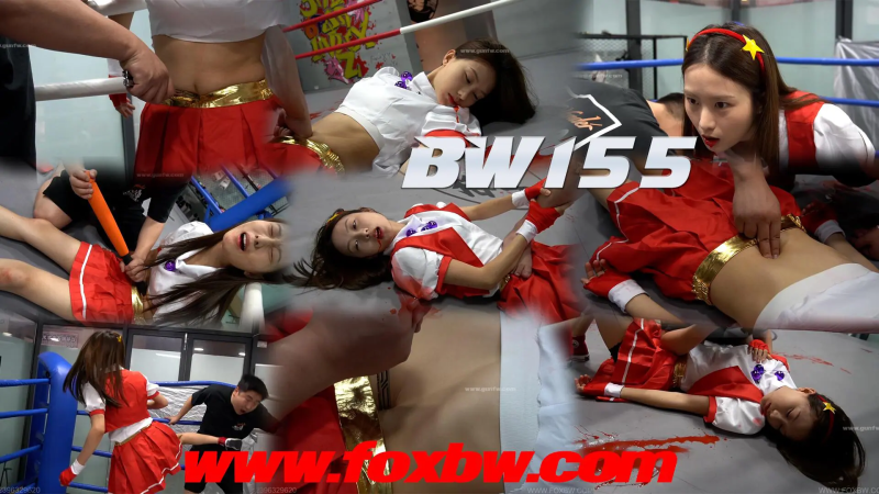 BW-155 zy vs cc-格斗艺术