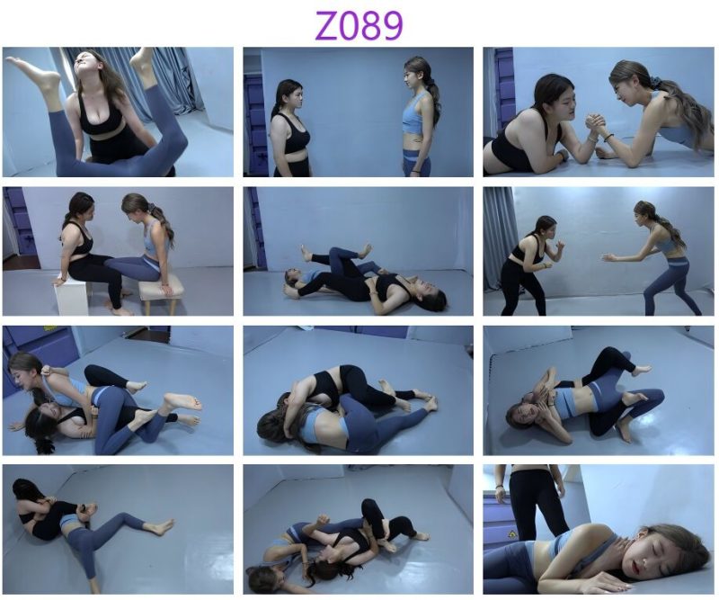 Z089  vc VS zhongzhong-格斗艺术