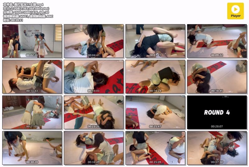 真打实况17上部-格斗艺术