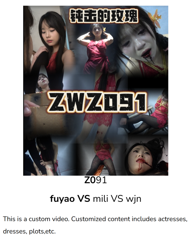 Z091 fuyao VS mili VS wjn-格斗艺术