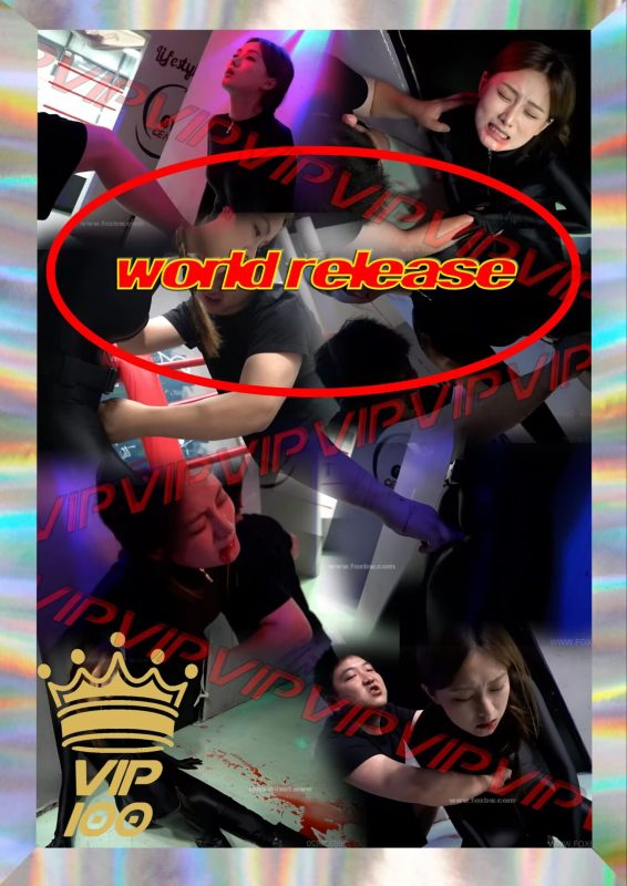 VIP-100-格斗艺术